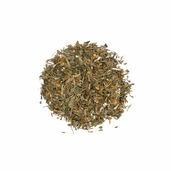 Alfalfa Leaf