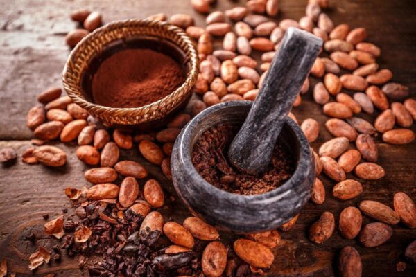 Cacao powder Organic
