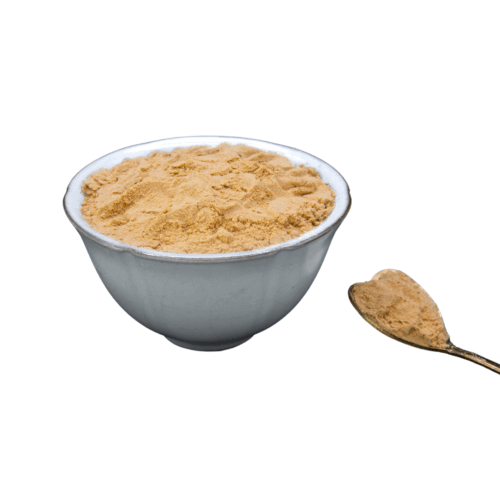Lions Mane Extract Powder