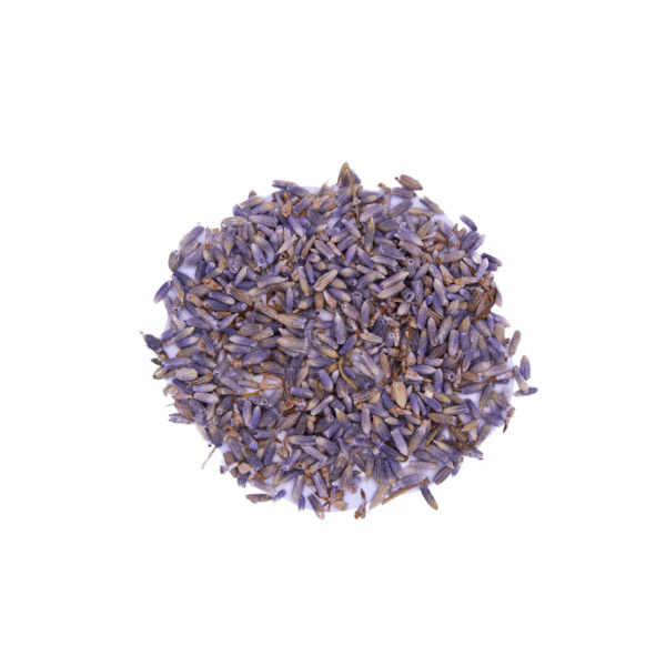 2e48a700-f4f5-4aaa-9a8c-b399c886ddce.png Lavender Flower