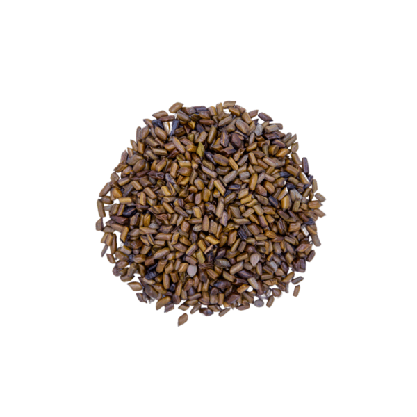 Cassia Seed