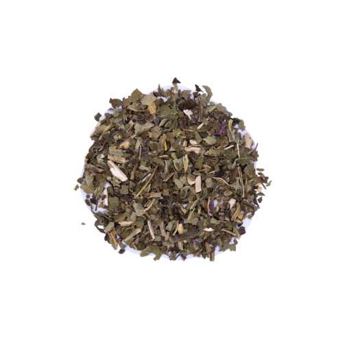 Echinacea
