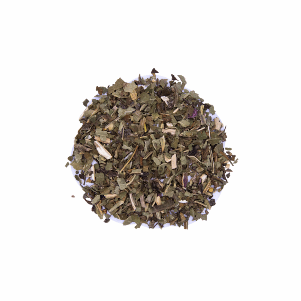 Echinacea