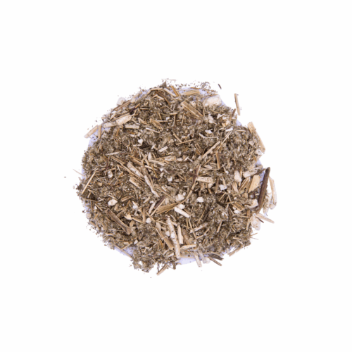 Mugwort