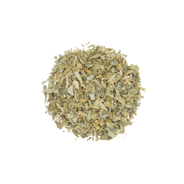 3bbdb288-90ae-4051-a230-302c9921d42b.png Lemon Verbena