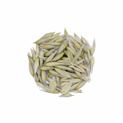Oat Tops Whole