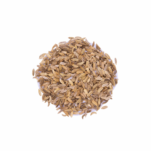 Fennel Seed