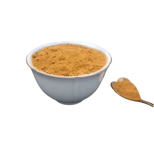 Cordyceps Extract Powder