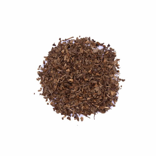 Sweet Basil (Ocimum Basilicum)