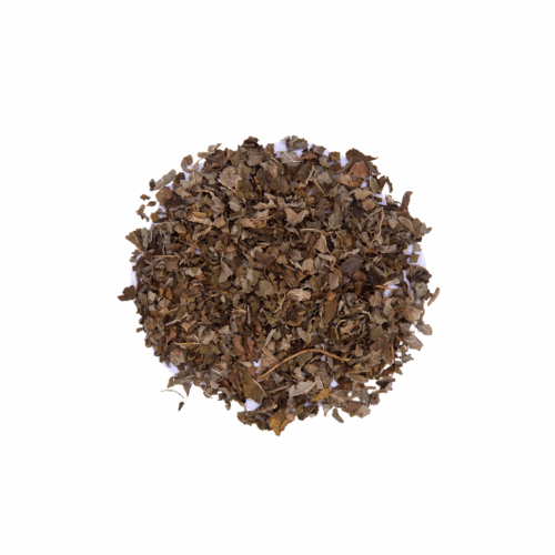 Lemon Balm