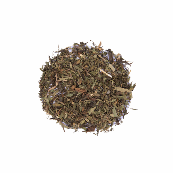 Stevia Leaf