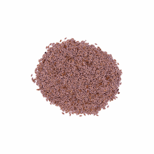 Psyllium Seeds
