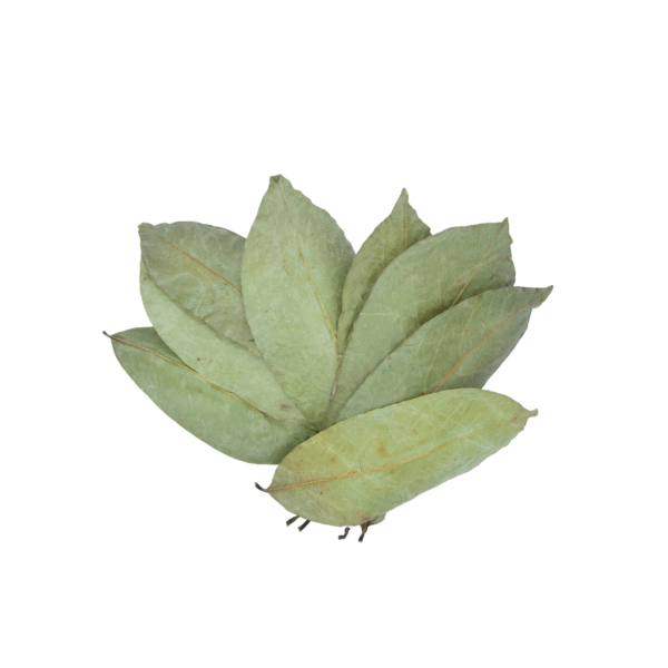 Soursop Leaves