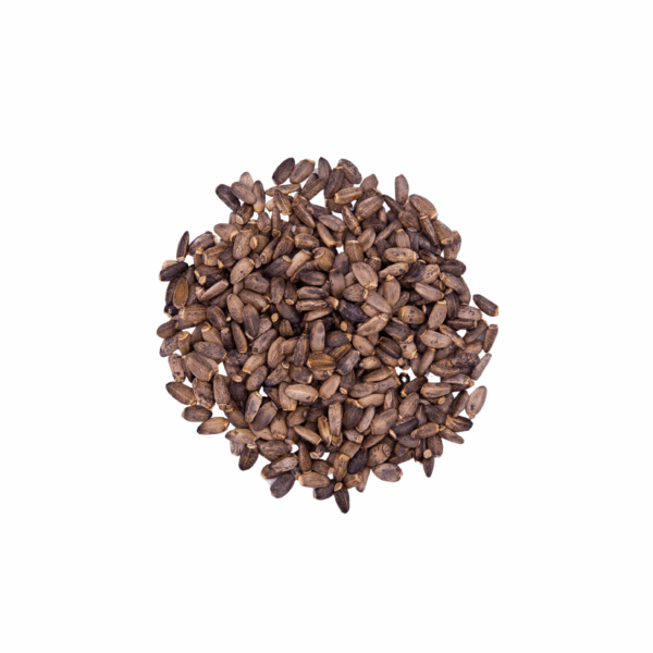 Milk Thistle Seeds