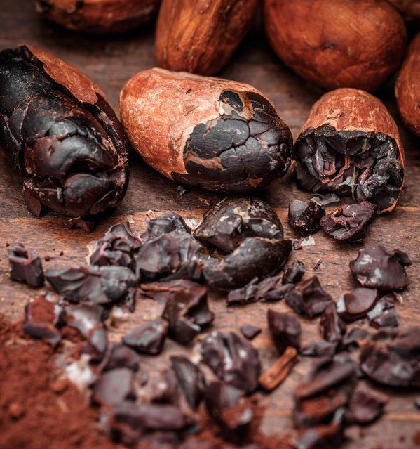 Cacao Nibs Organic