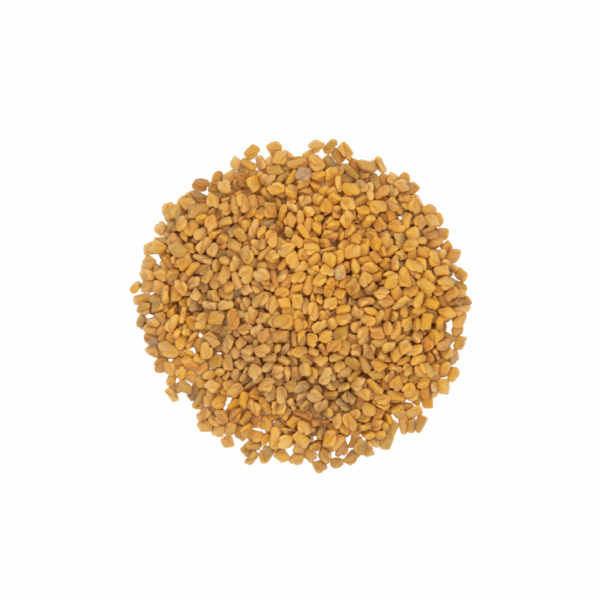 Fenugreek Seed