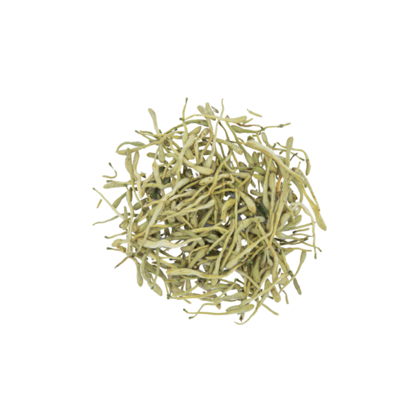 Honeysuckle