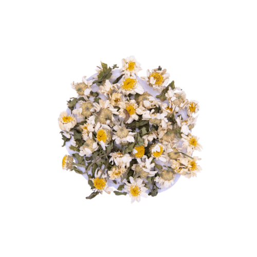 Feverfew