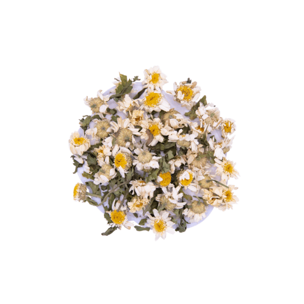 Feverfew