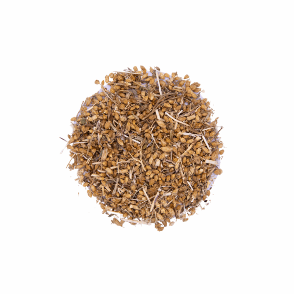 e75251e2-89a3-418a-8c09-d6f37e795e4e.png Yarrow Flower