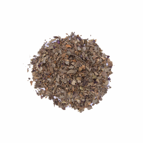 Holy Basil (Tulsi) (Ocimum Tenuiflorum)