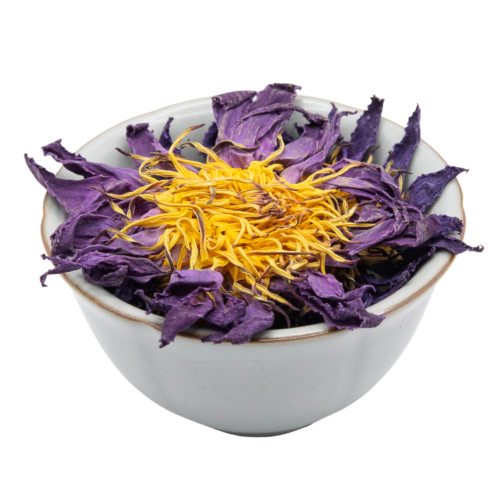 e5643770-5cc1-49d7-91a3-7e6803569ca4.png Blue Lotus Flower