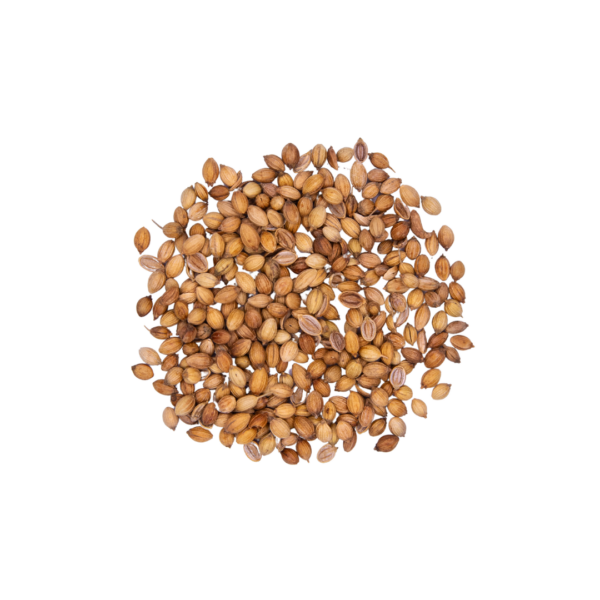 Coriander Seed (Whole)
